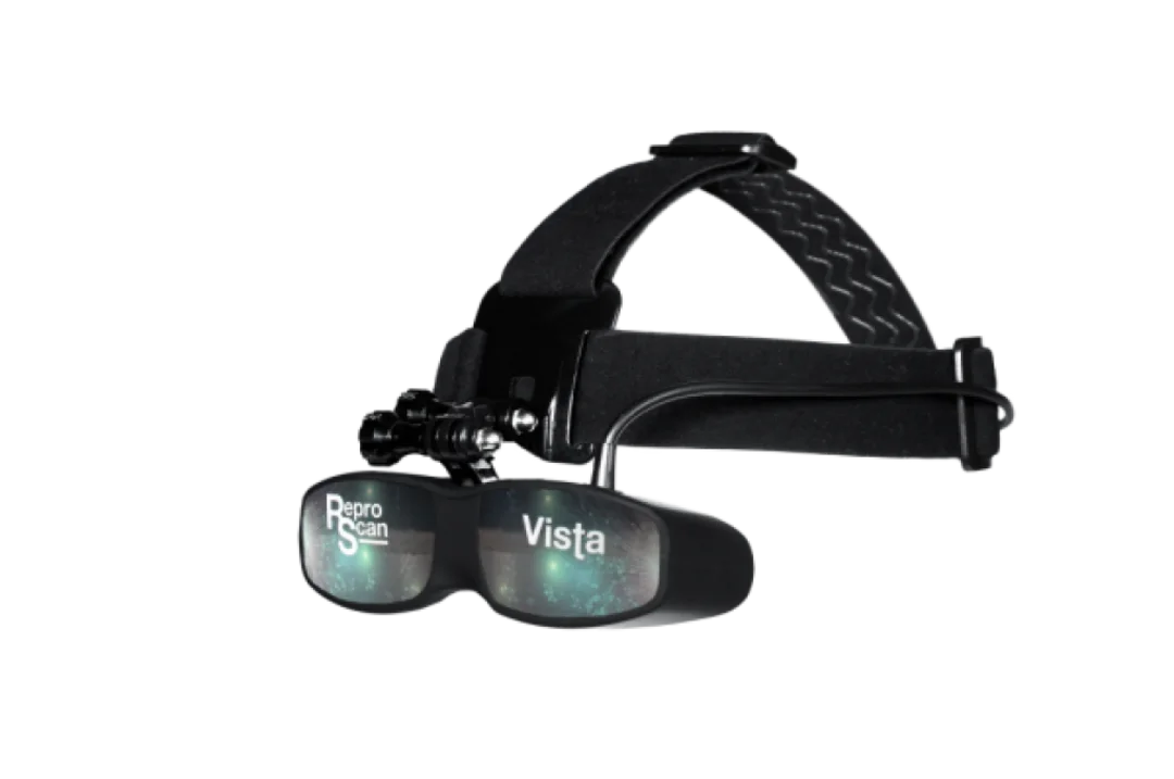 Vista Goggles