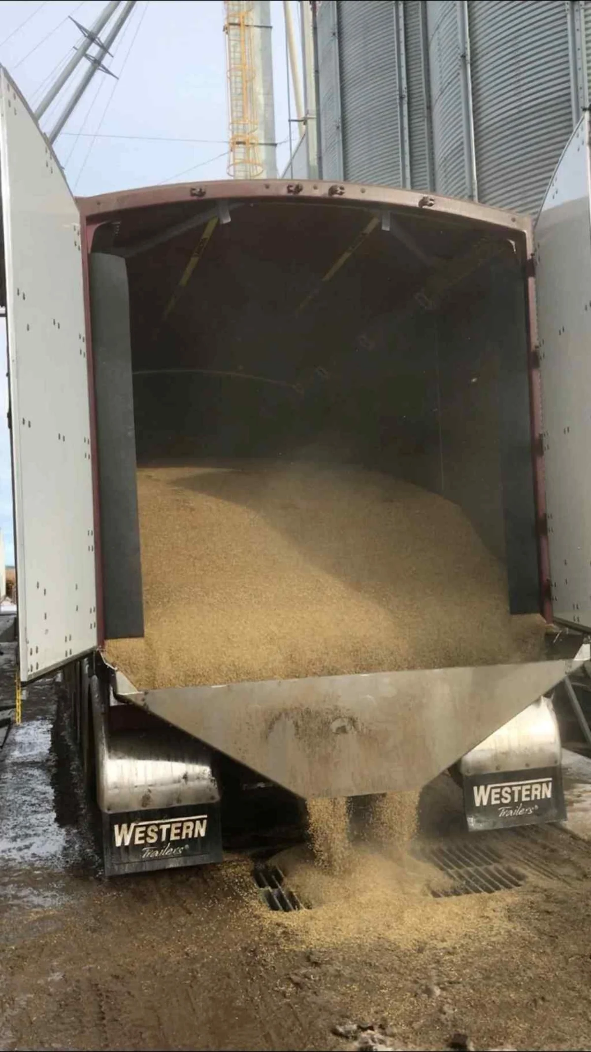 Live Floor with Hopper trailer