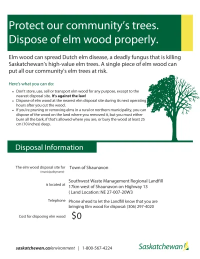 STOP THE SPREAD OF DUTCH ELM DISEASE