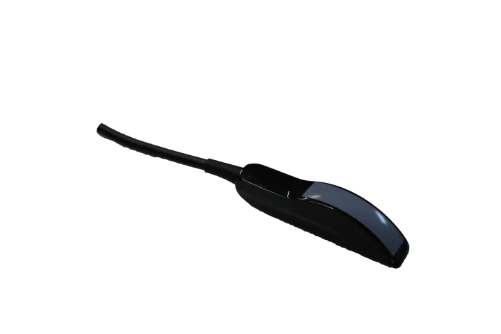 Convex Rectal Probe