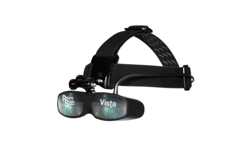Vista Goggles