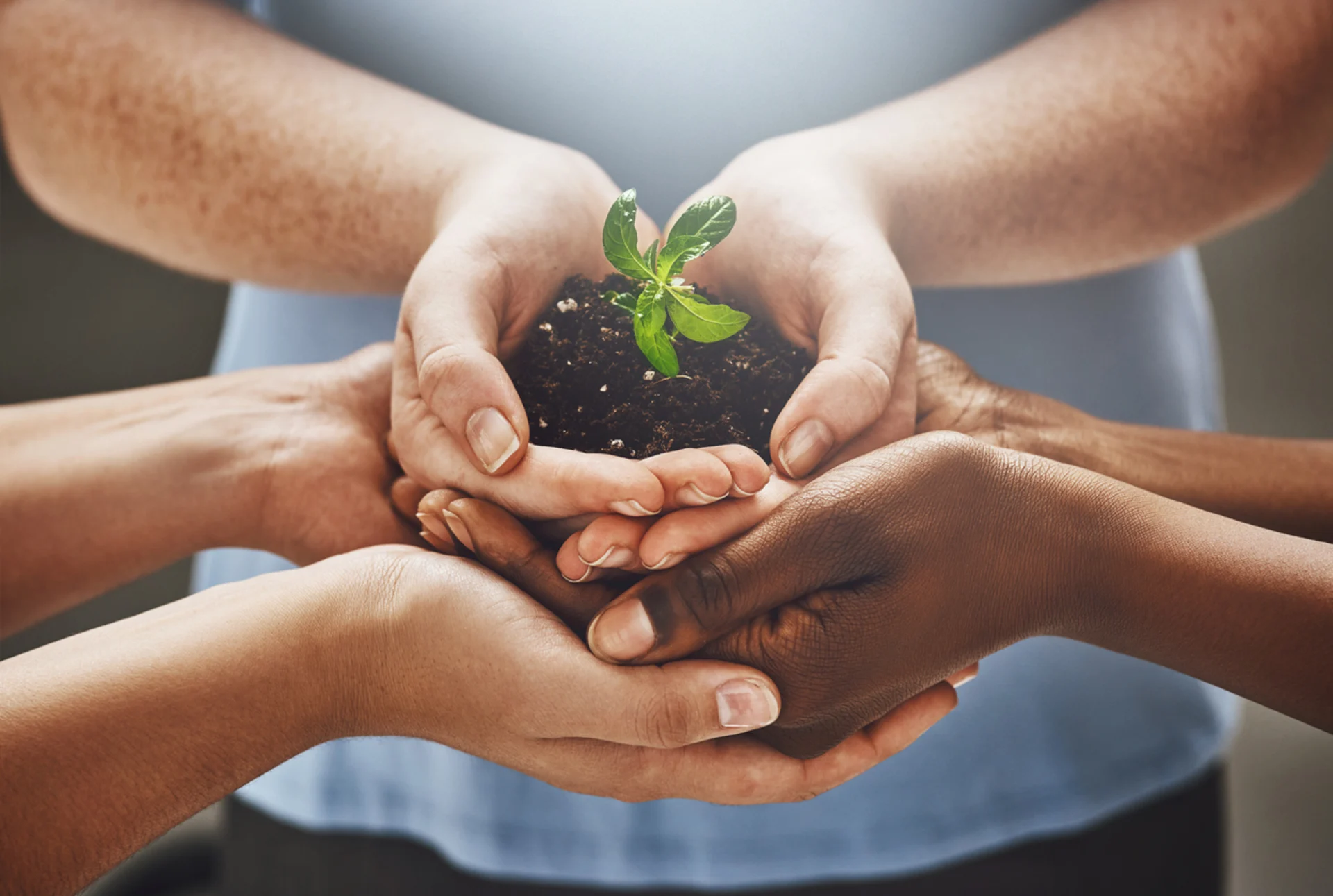 Career and Volunteer Opportunities Banner Image