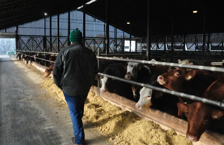 Meet Your QC Farmers and Ranchers