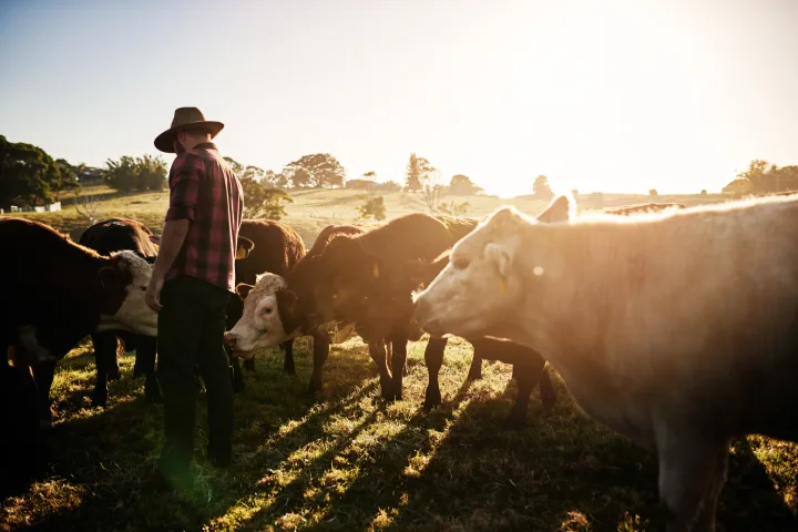 Meet Your MB Farmers and Ranchers