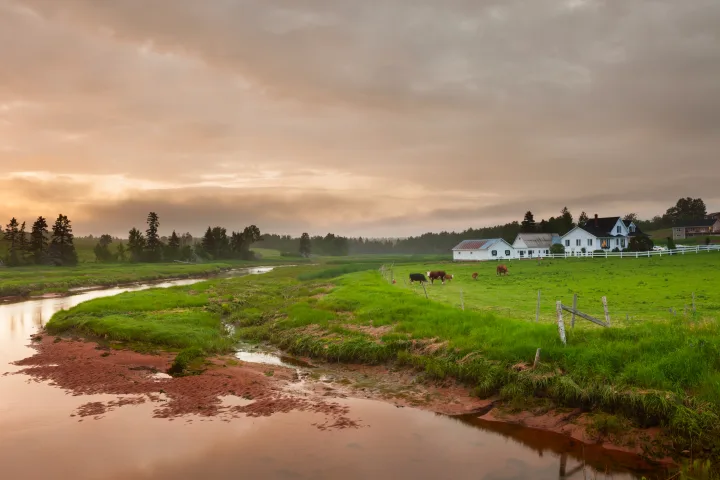 Enjoy Beef in Prince Edward Island