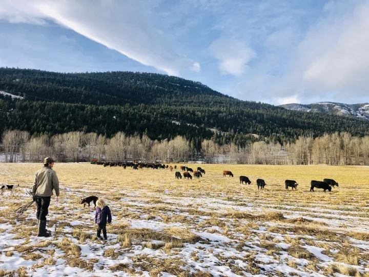 Meet Your BC Farmers & Ranchers