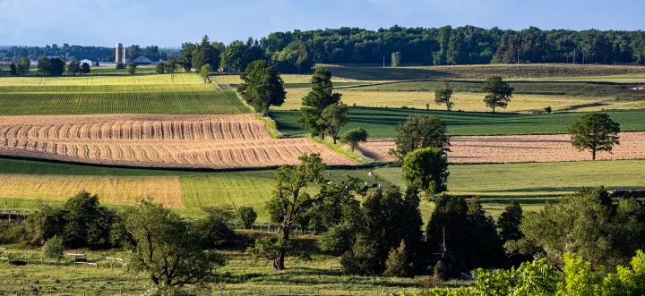 Meet Your NB Farmers and Ranchers