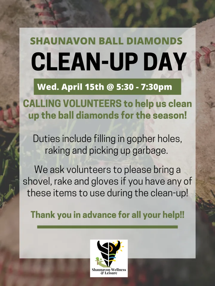 Diamond Clean up 2026