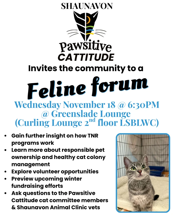 Small Paws, Big Strides: An Update on Shaunavon Pawsitive Cattitude