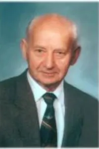 LEONARDUS (LEO) GOLSTEYN