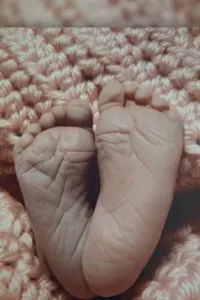 Harper Dawn Farnell