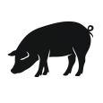 Application Icon