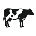 Application Icon