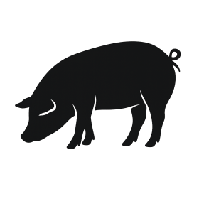 Application Icon