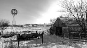 Tips, Tricks and Techniques - Cold Weather Stress On Your Ultrasound