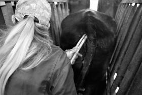 ReproScan Has Your Back -- Literally!