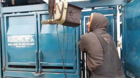 Tips, Tricks and Techniques – Ultrasounding Cattle when it is Cold