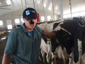 Industry Spotlight - Dairy: The Use of Ultrasounds in Dairy Farms