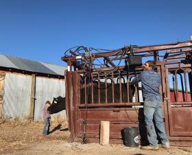 Settings for Dry Manure