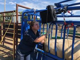 Reflections on Extension Arm Ultrasound
