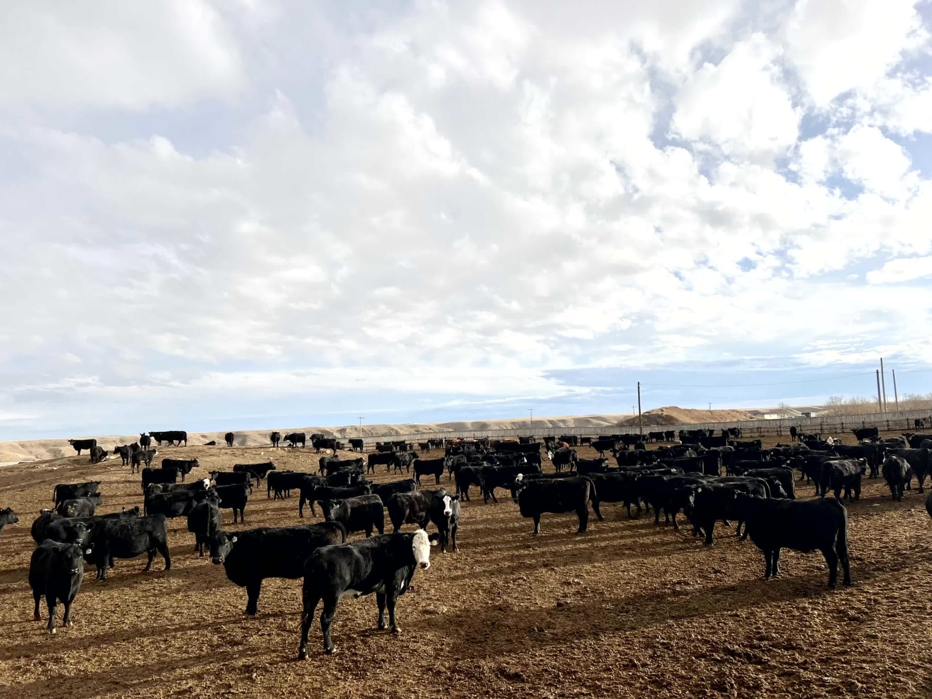 GQ RANCH
