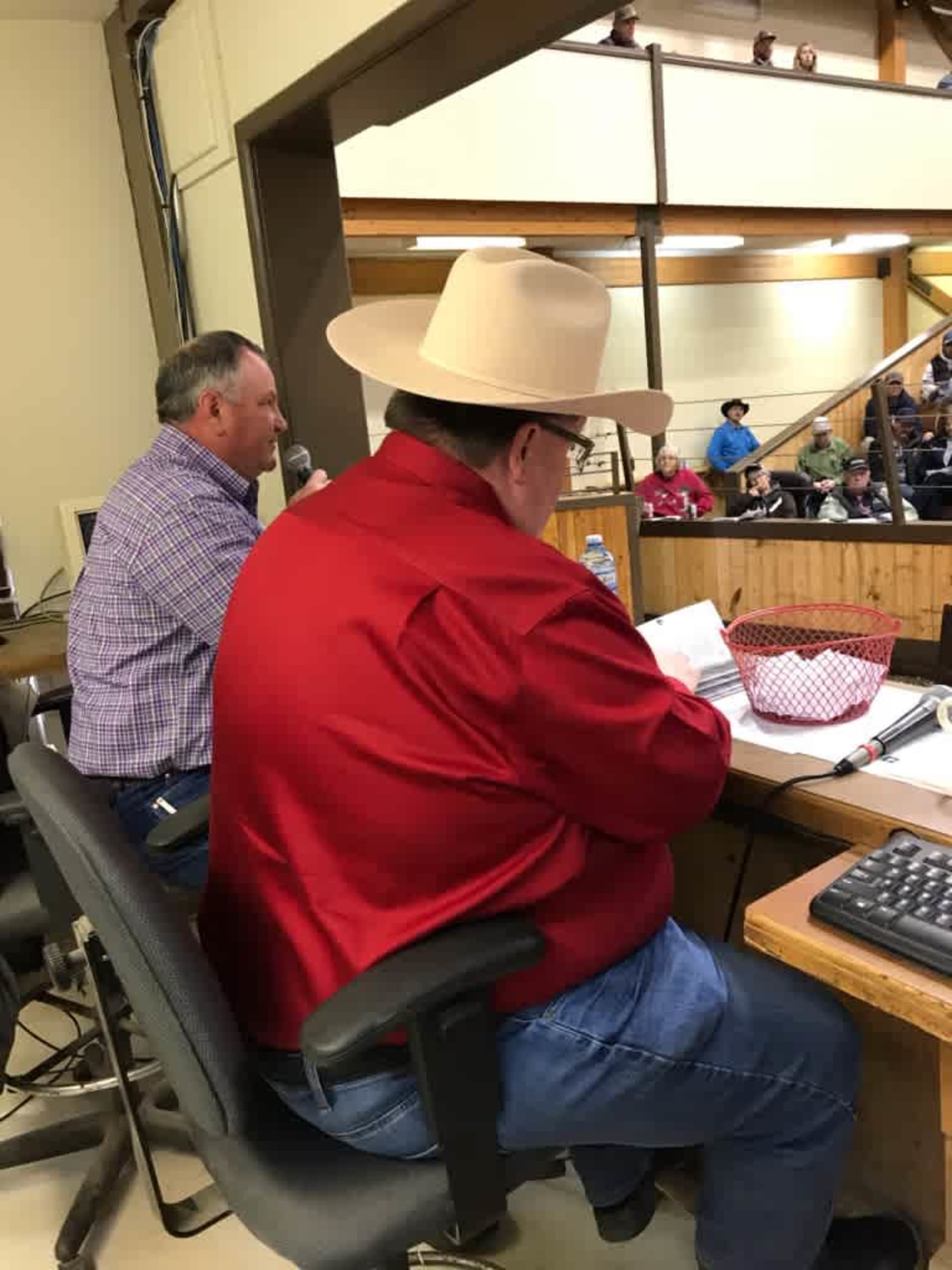 RODGERS RED ANGUS BULL SALE