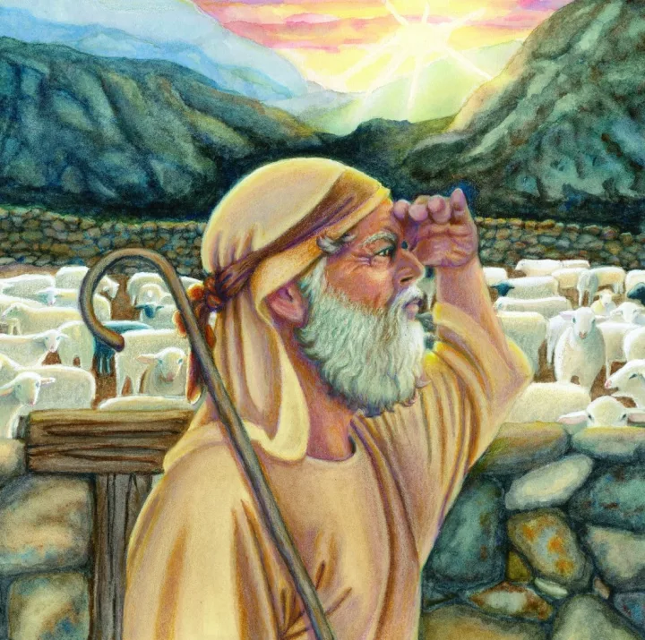 The Lost Sheep