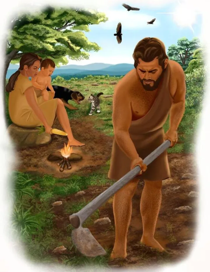 Traka kòmanse