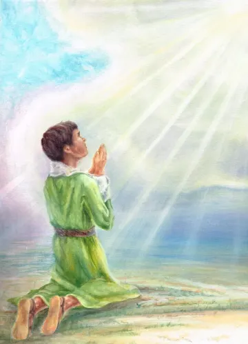 당신을 위한 집 