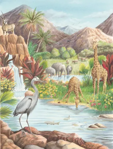 God's Wonderful Creation