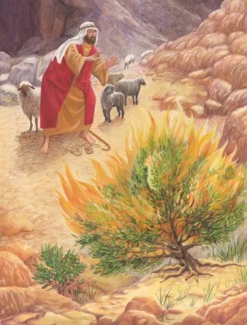 The Burning Bush