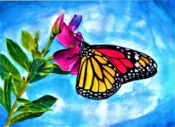 រឿងការបង្កើត