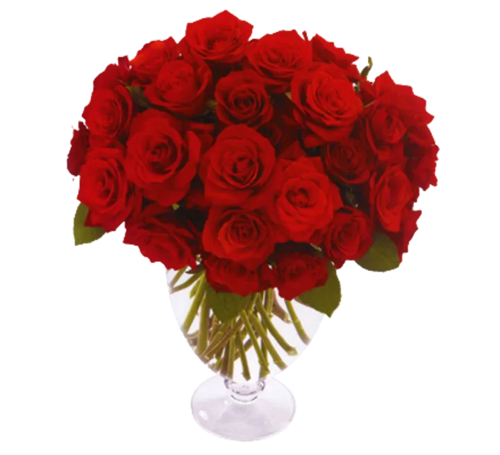 Vase of Roses