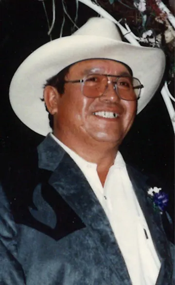 Stan Scout