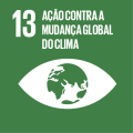 13º objetivo