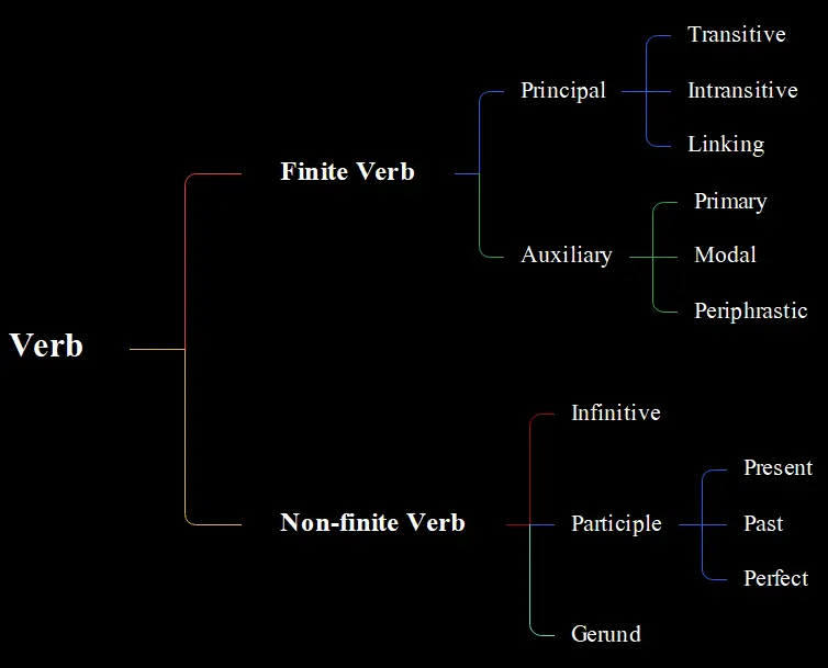 Kind Of Verb