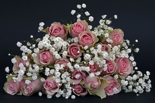 特別な結婚記念日になる 女性が喜ぶお花のプレゼント Tanp タンプ