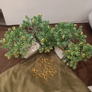 rings