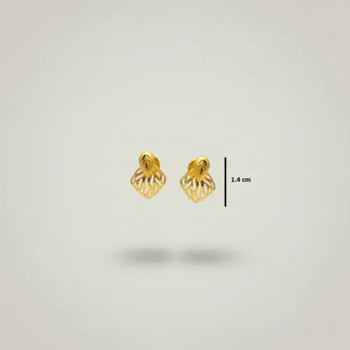 Trendy Matte Finish Studs