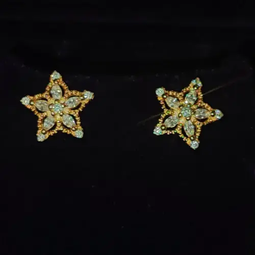 Star Earings