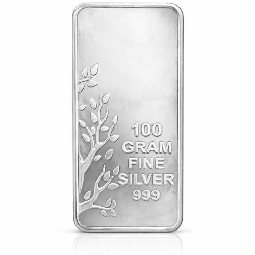 100g Silver Bar