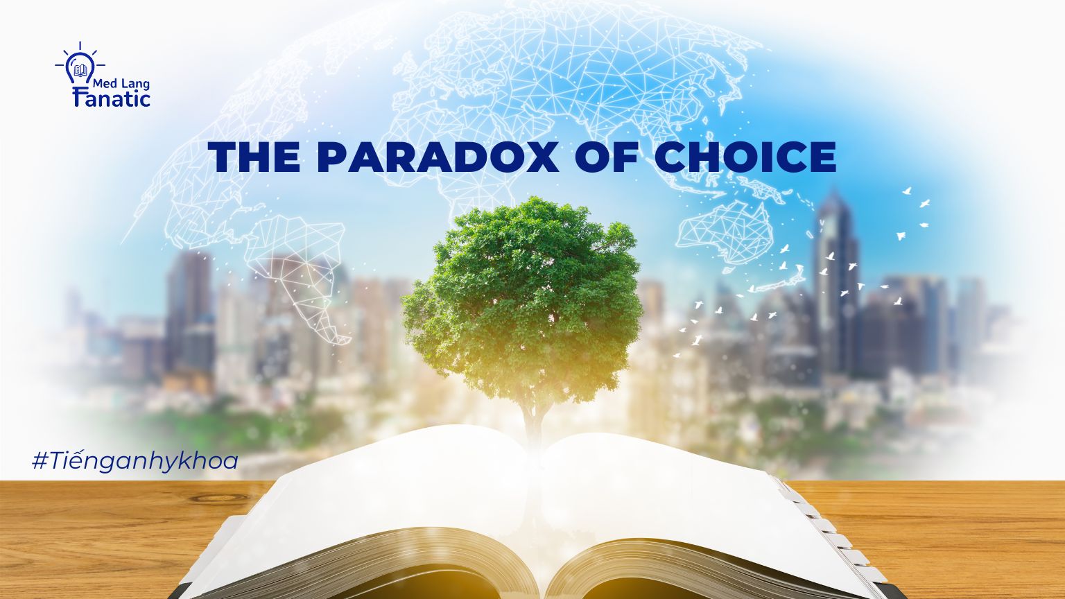 Sách từ vựng nào để học khi mới bắt đầu? - The paradox of choice