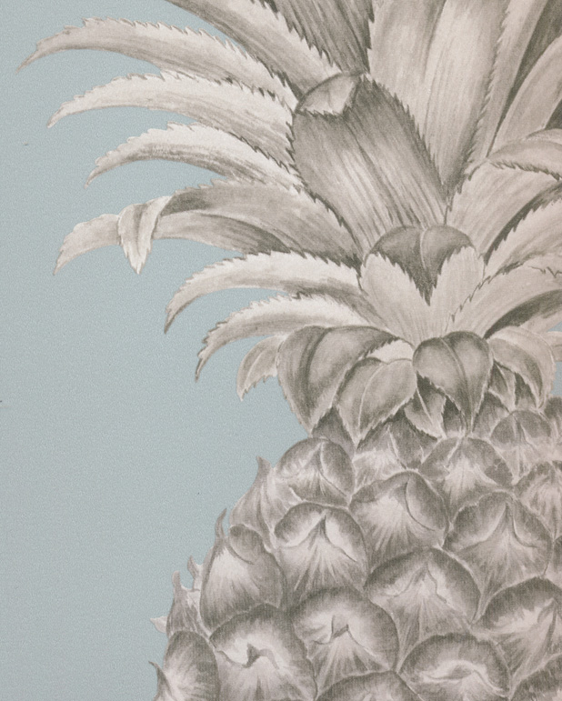 Pineapple Royale Porcelain/Sepia tapet från Sanderson - Tapetorama