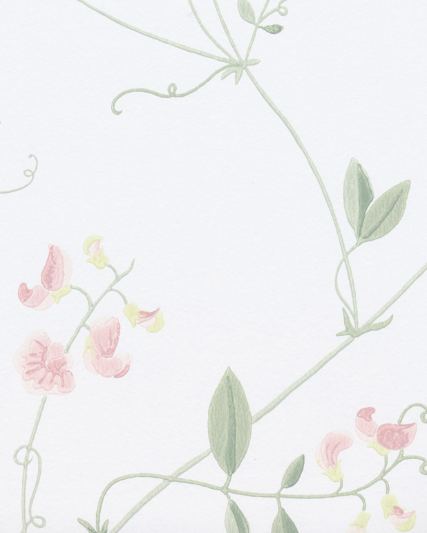 Sanna Light Pink - Wallpaper