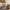 image of One Bedroom Loft