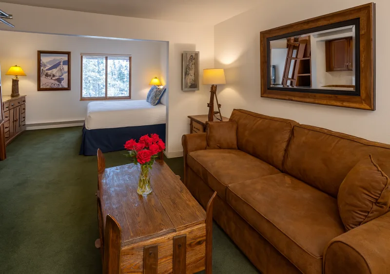 image of Large Loft