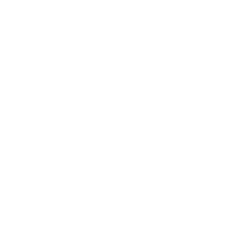 Piston Foundation