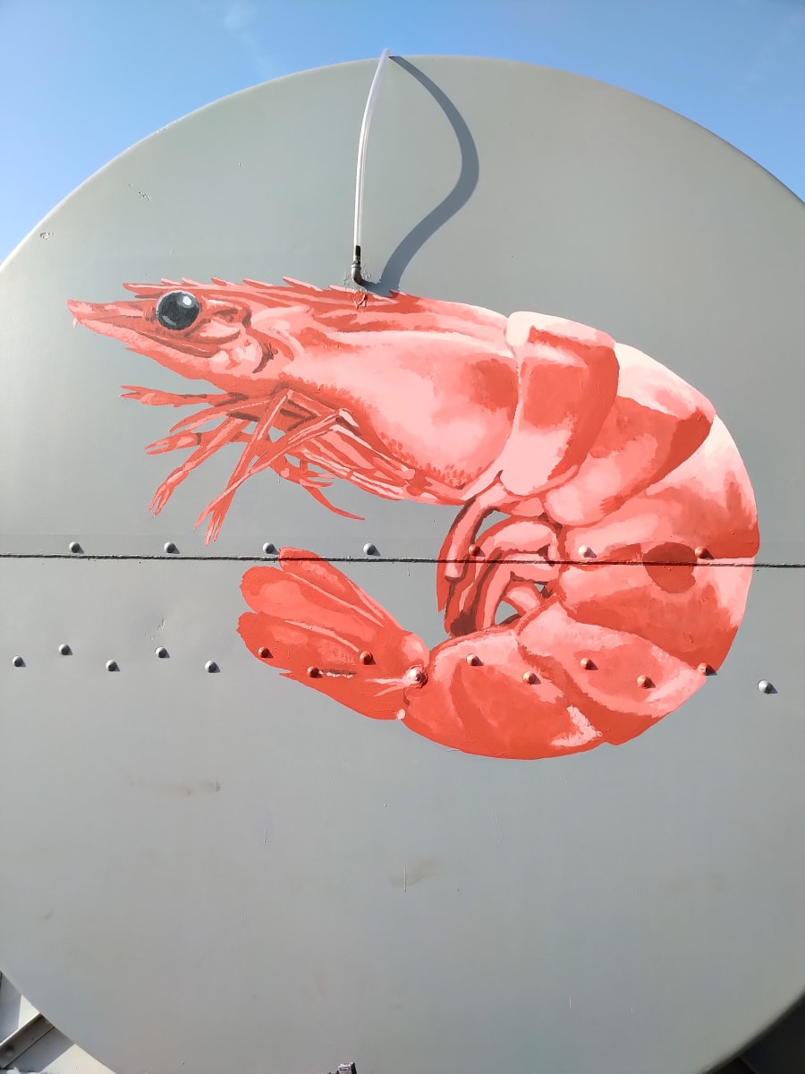 A giant coral shrimp hand-painted on the dockside tank