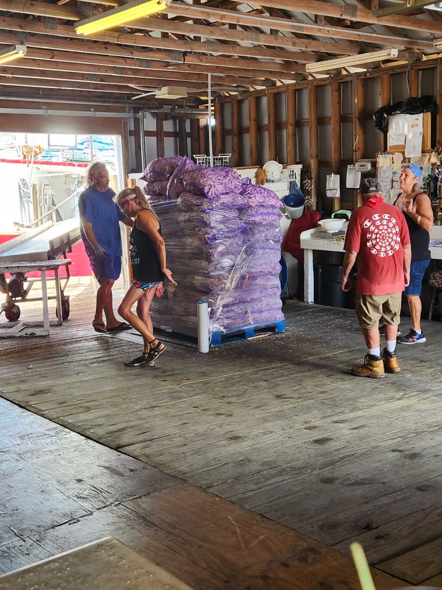 Crew moving a pallet of shrimp sacks through the market