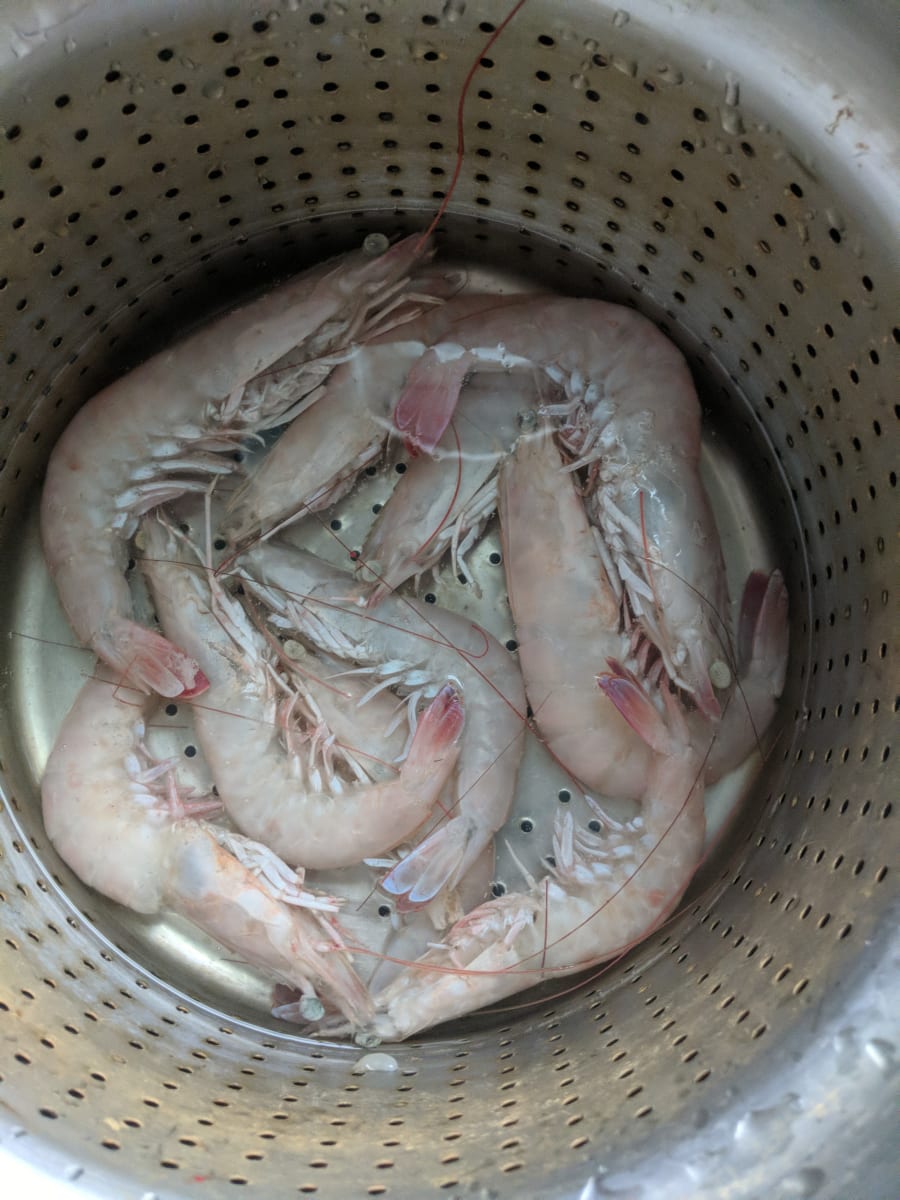 A steamer basket full of head-on pink shrimp